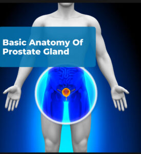 Save Prostate, Male health